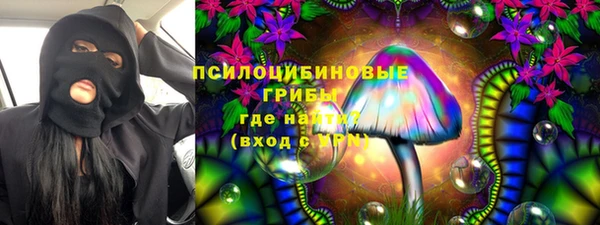 ГАЛЛЮЦИНОГЕННЫЕ ГРИБЫ Абинск