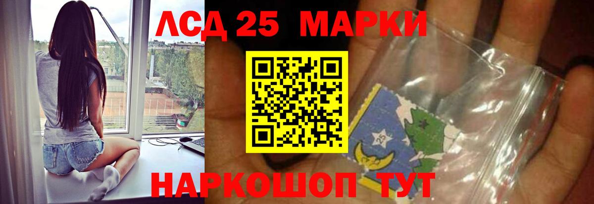 блэк спрут вход  Вход с VPN  Алатырь  Лсд 25 экстази кислота 
