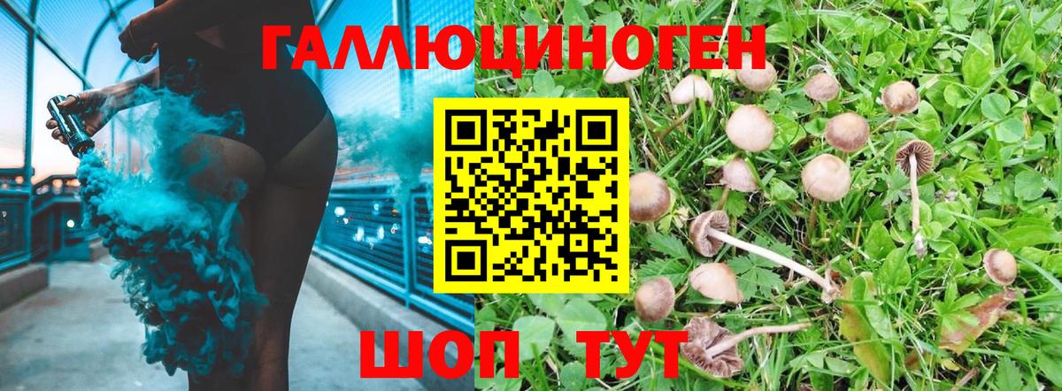 Алатырь  Галлюциногенные грибы ЛСД  где можно купить наркотик  Вход с VPN 