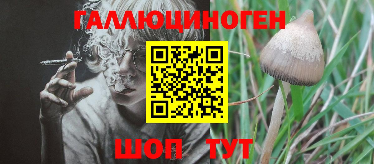 Галлюциногенные грибы мицелий Алатырь